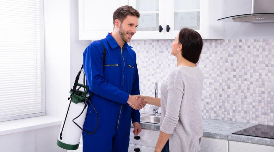 Why choose Wallen Pest Pros for pest control in Wallan, Melbourne